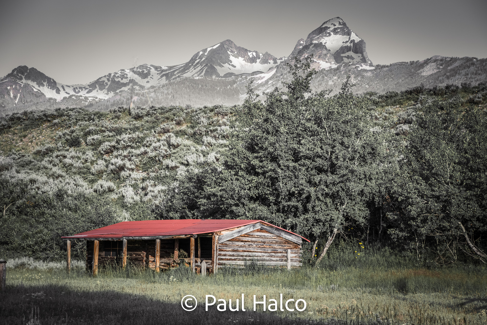 Paul Halco - Grand Tetons-33